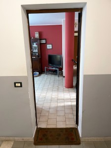 IMG_3277