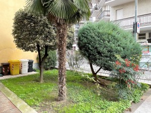 IMG_3914