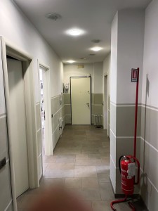 IMG_3919