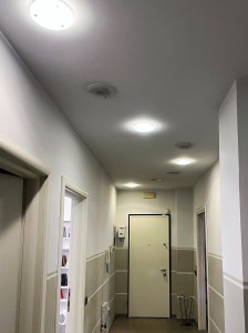IMG_3920
