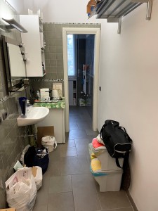 IMG_3929