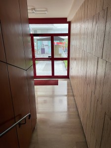 IMG_3946