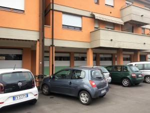 IMG_9519