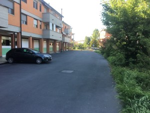IMG_9861