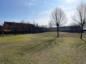 IMG_5495