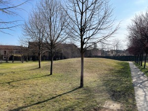 IMG_5498