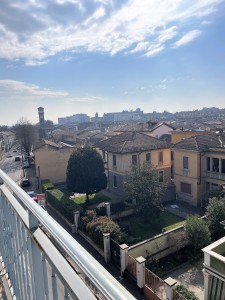 IMG_5595