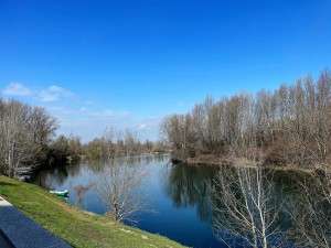 IMG_5623