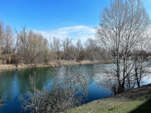 IMG_5624