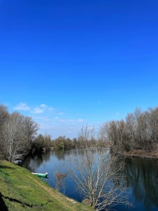 IMG_5626