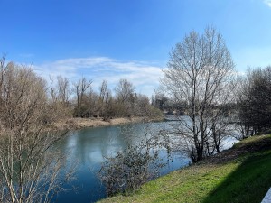IMG_5627
