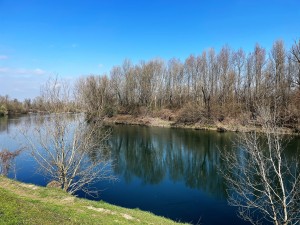 IMG_5628